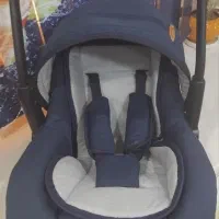 کریر نوزاد|کالسکه و لوازم جانبی|شیراز, میانرود|دیوار