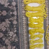 پخش بستبندی شده طناب