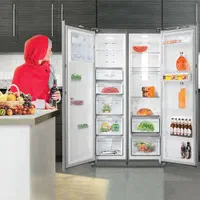 دوقلو دوو|یخچال و فریزر|تهران, امین حضور|دیوار