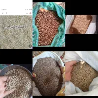 فروش عمده حبوبات