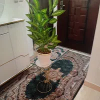 گلدان و جا پایی