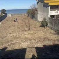 فروش فوری زمین در ساری