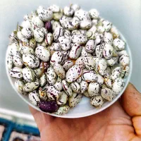 مشکین سهر|خوردنی و آشامیدنی|مشگین شهر, |دیوار