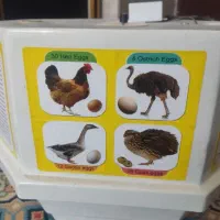 دستگاه جوجه کشی|لوازم جانبی حیوانات|بافت, |دیوار