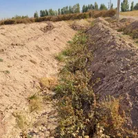 باغ انگور|فروش دفتر صنعتی، کشاورزی، تجاری|باروق, |دیوار