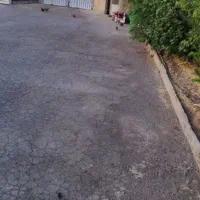 فروش-چهار-دیواری-منطقه-19-شهرداری-تهران