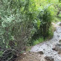 کوهنوردی کمپ طبیعت گردی بانوان