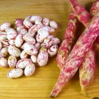 لوبیا چیتی 95تومن