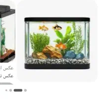 آکواریوم