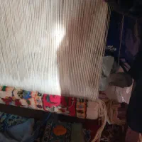 دارقالی سالم