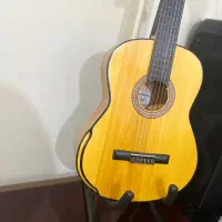 فروش گیتاردیاموند