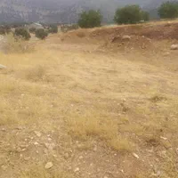 ۱۸۰متر زمین دونبش علی آباد