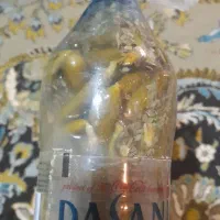 خیارشور تازه ومحلی|خوردنی و آشامیدنی|شیراز, مسلم|دیوار