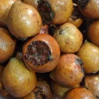 فتر به زبان محلی (کنوس)