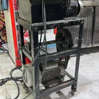 چرخگوشت الکترو کار