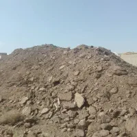 بار کود گوسفند|خدمات باغبانی و درختکاری|سبزوار, قصبه غربی|دیوار