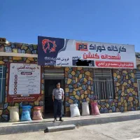 خوراک دام