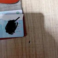 کارت ملی بنام الهام کریم زاده پیداشده