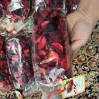 گل سرخ خشک|گل و گیاه طبیعی|تهران, بوستان چیتگر|دیوار