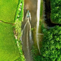 اولین-مجموعه-آمازونی-ایران