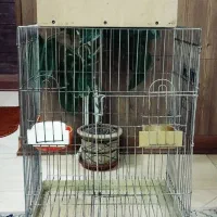 قفس و لونه طوطی