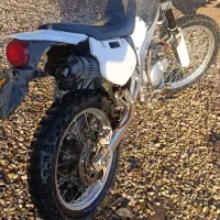 موتور مزایده آمیکو