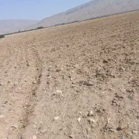 فروش زمین|فروش دفتر صنعتی، کشاورزی، تجاری|فسا, |دیوار