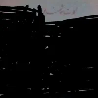 کارت ملی یه خانم پیدا کردم