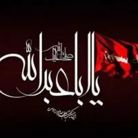 کاروانزیارتیکربلا محبانامامهادیع|تور و چارتر|نصر آباد, |دیوار