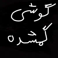 گوشی‌گمشده