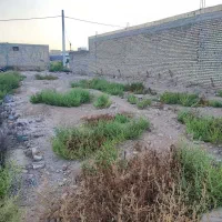 زمین ۱۸۵ متری کوی فدک|فروش زمین و ملک کلنگی|اهواز, فدک|دیوار