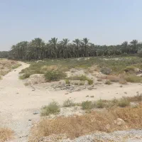 فروش ۲۵۰۰متر زمین تک برگ، بَرِ کمربندی بوشهر-شیراز|فروش زمین و ملک کلنگی|برازجان, |دیوار
