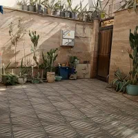 گلدون باگل  تعویض' فروش' حتما هدیه داده مشود|گل و گیاه طبیعی|بهارستان, |دیوار