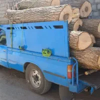 خریدار چوب گردو