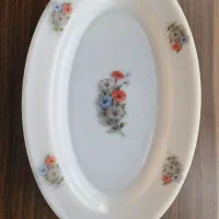 دیس پلوخوری گل میخک فرانسوی اصل نو