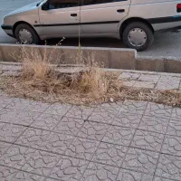 مسافر  دربست