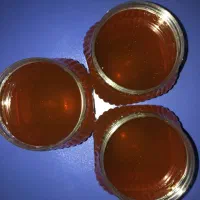 عسل صد درصد طبیعی با ضمانت|خوردنی و آشامیدنی|رشت, حمیدیان|دیوار