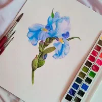 تابلو نقاشی آبرنگ|تابلو، نقاشی، عکس|تهران, تولید دارو|دیوار