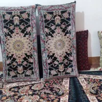 دوجفت پشتی نو