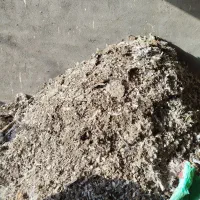 کود کفتر تمیز درجه یک