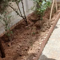 شرکت خدماتی نظافتی راستین هشتگرد|خدمات نظافت|هشتگرد, شهرک بعثت|دیوار