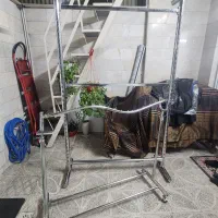 دو عدد رگال