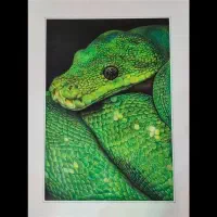 آموزش نقاشی مداد رنگی حرفه ای و کودک