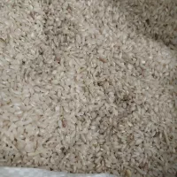 برنج کوجنق