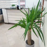 منشی دستیار پزشک ادمین مشاور زیبایی