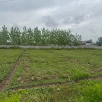 ۲۵۷ متر زمین داخل طرح مسکونی/ هوشیارسازان