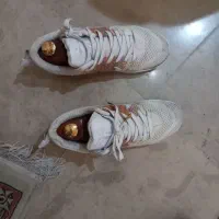 کتانی ویتنام سایز ۴۲