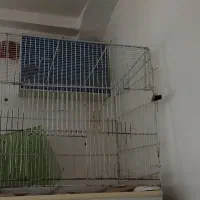 قفس پرنده بزرگ