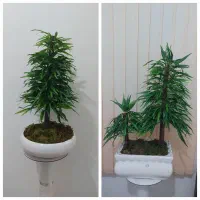 درختچه و گل مصنوعی|گل مصنوعی|فومن, |دیوار