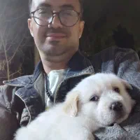 واگذاری سگ شیتزو